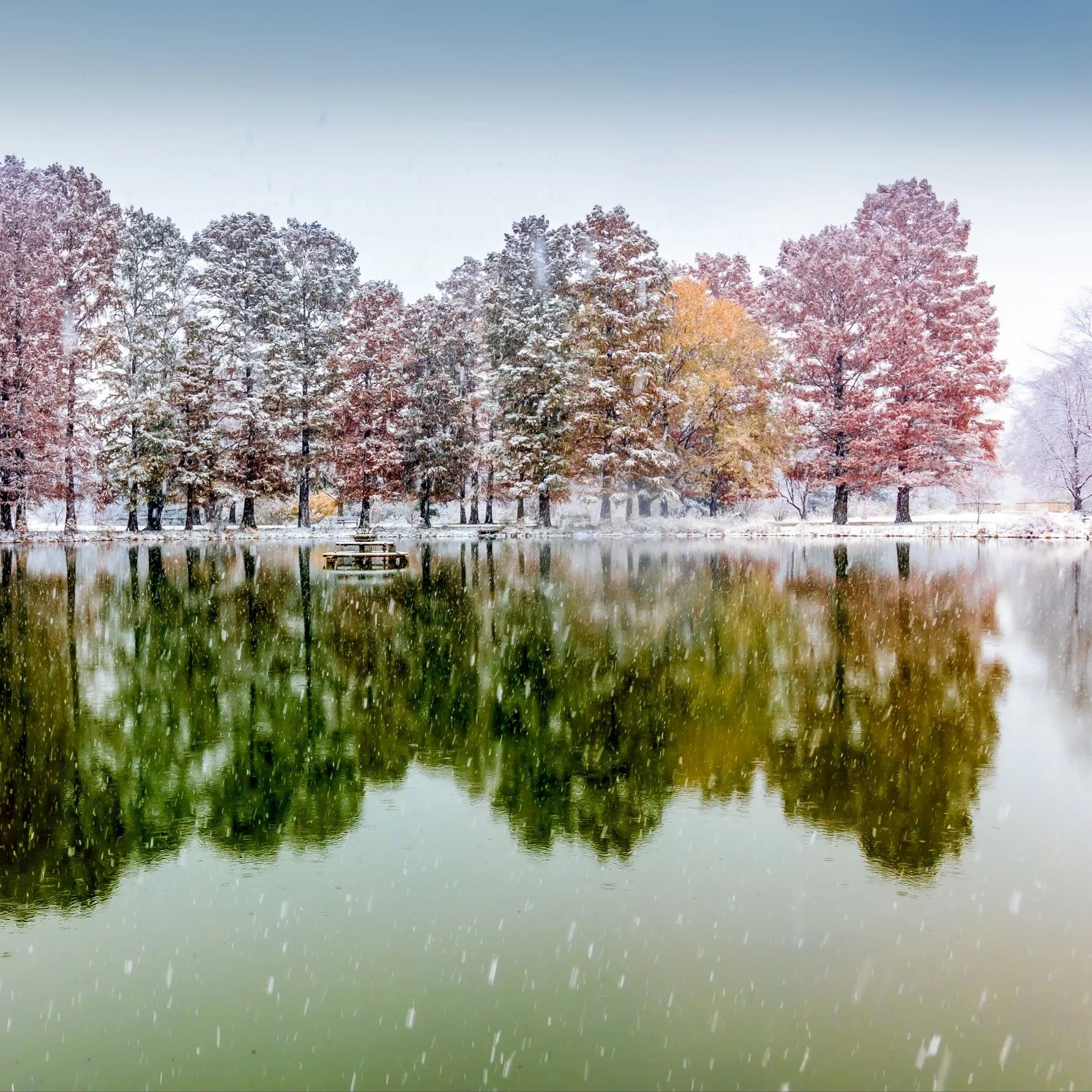 Our Work for the Next Generation — Forest Park Forever